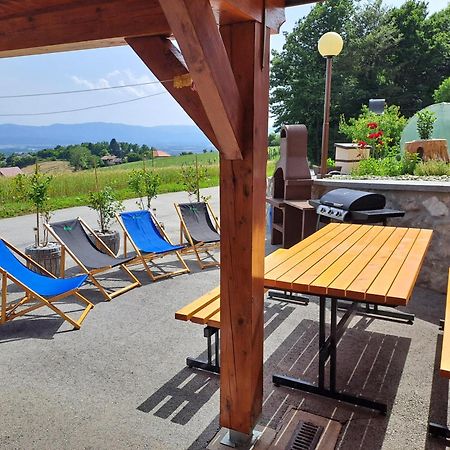 Apartments Jernej With Onsite Wellness Брежице Экстерьер фото